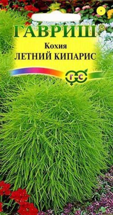 Кохия Летний кипарис 0,2гр Поиск
