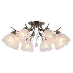 Потолочная люстра Casagliana OML-53807-08 Omnilux