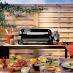 Газовый гриль Weber Weber Slate GP Premium, 43 см