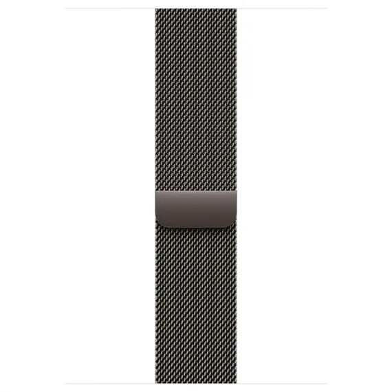 Умные часы Apple Watch Series 11 46 мм Titanium Milanese Loop Серый Slate