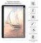 Защитная плёнка для DH-1069A4-PG-FPC294-V1.0