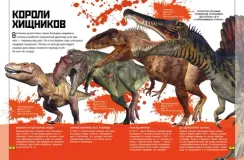 Животные. Книга юного эрудита