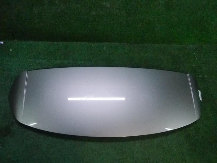 DSCN8198.JPG