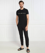 Футболка LOUNGEWEAR Emporio Armani - черный(111971 3F525)
