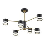 Потолочная люстра Lumion LANIKA 8240/6C