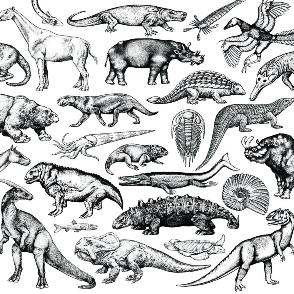 Moschops, Symatic Skratch Fossil