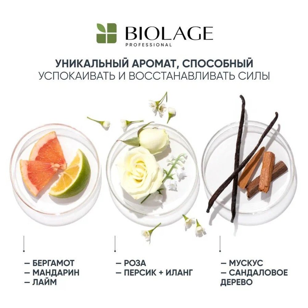 Matrix Biolage Recovery Strength Шампунь для восстановления и укрепления поврежденных волос Biolage Recovery 250 мл