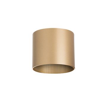 Накладной точечный светильник 1*GX53 213490 золото Rullo Lightstar