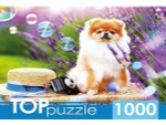 Пазл 1000эл. TOPpuzzle "Шпиц в саду" ШТТП1000-9859