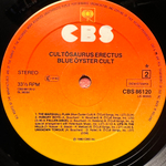 Blue oyster Cult - Cultosaurus Erectus (Голландия 1980г.)
