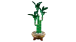 Конструктор LEGO Botanical Collection 10344 Бамбук удачи