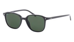 Очки Ray Ban Leonard RB 2193 901/31