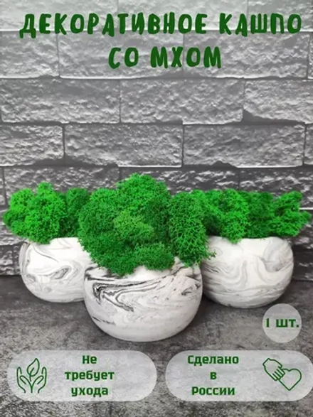 Кашпо мрамор со мхом