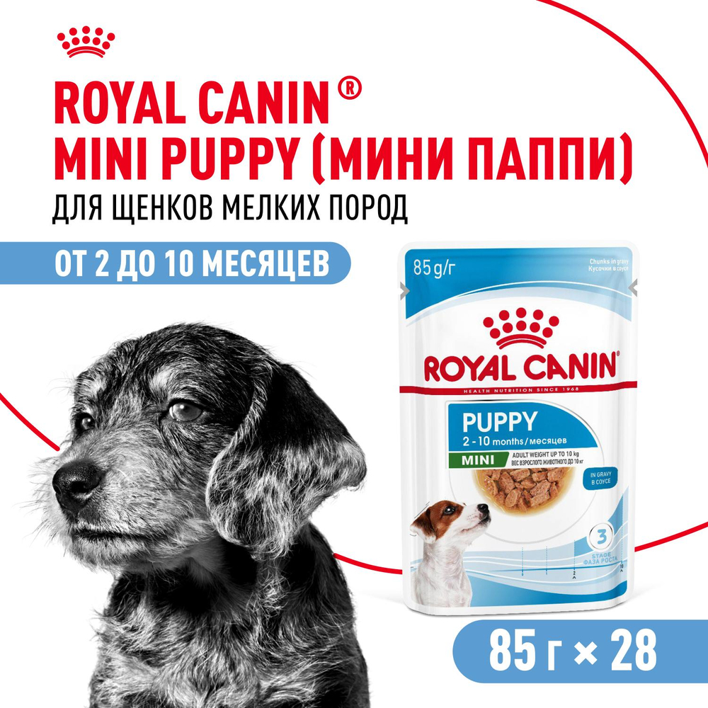 Royal Canin Mini Puppy Мини Паппи Корм влажный для щенков мелких пород в возрасте до 10 месяцев соус 85г