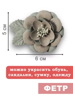 Стильное Украшение для обуви