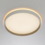Потолочный светодиодный светильник Citilux Etalon CL750320R