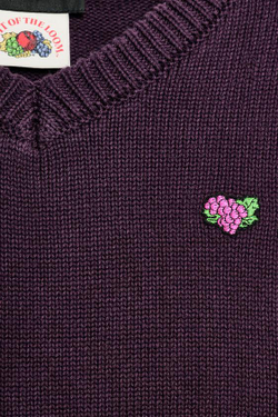 ZARA - FRUIT OF THE LOOM™ ВЯЗАНЫЙ ДЖЕМПЕР С V-ОБРАЗНЫМ ВЫРЕЗОМ, ФИОЛЕТОВЫЙ