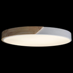 Накладной светильник Loft it Axel 3 10004/36 White