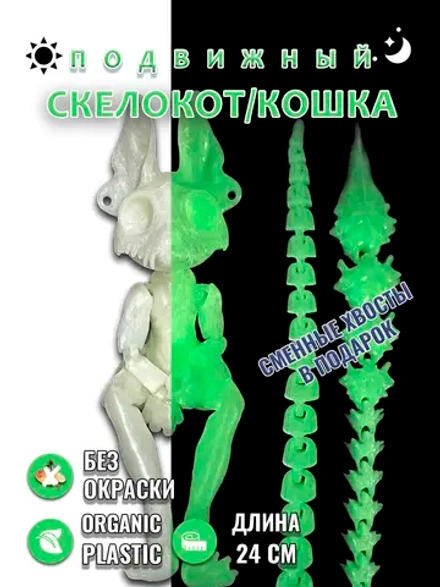 Скелет Кошки