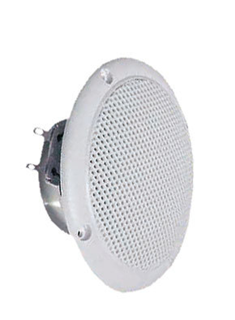 Visaton FR 10 WP/4