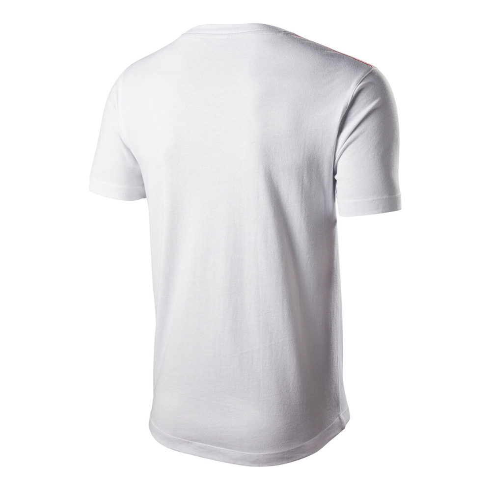 Мужское теннисное поло Wilson Britto Logo Men - White