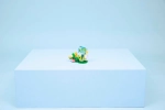 Конструктор LEGO Creator 3in1 31384 Wild Animals: Colorful Hummingbird
