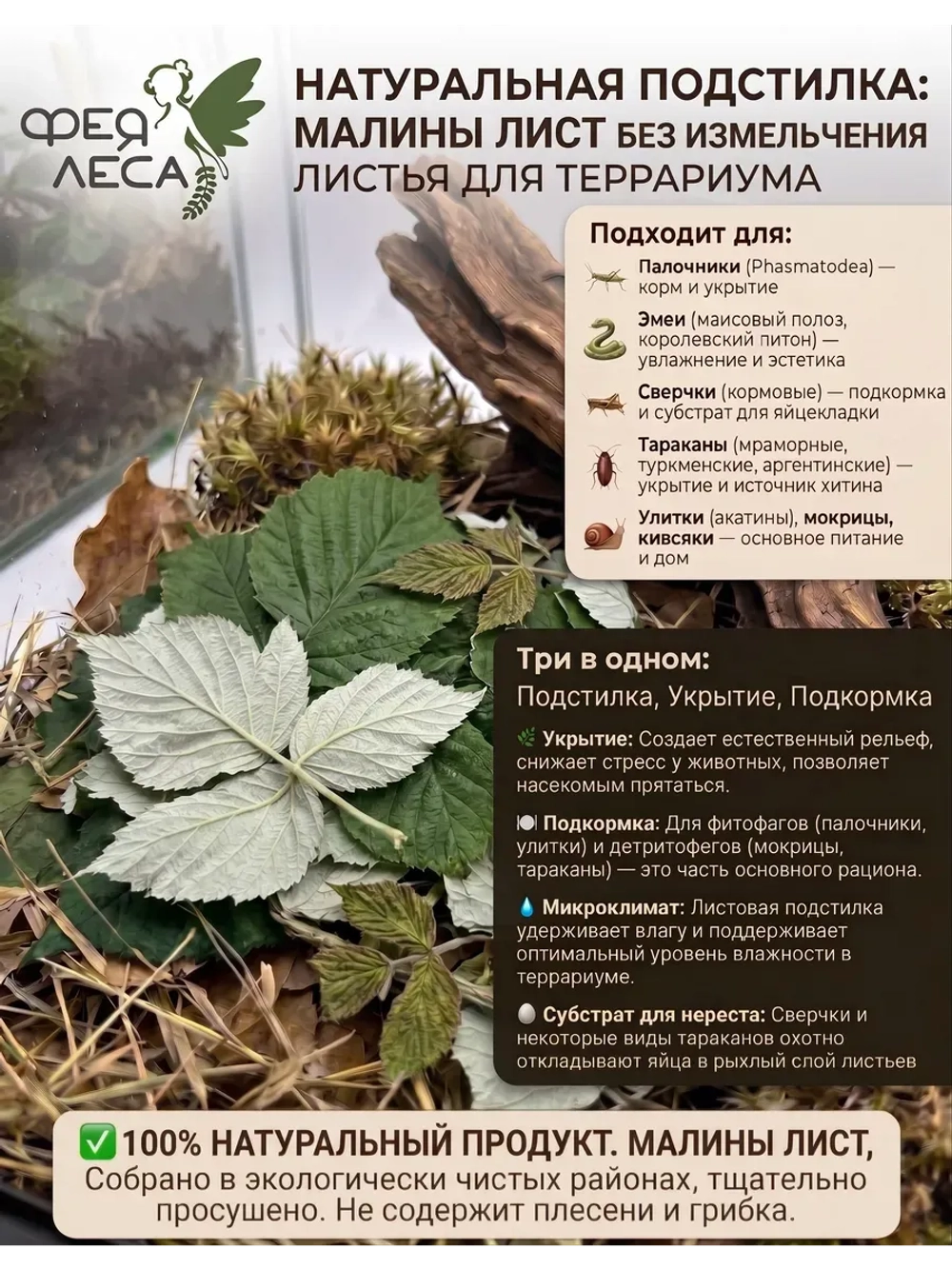Малина лист лесной целый для чая и здоровья