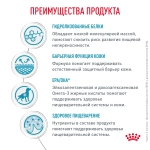Корм Royal Canin Гипоаллерген Канин ДР 21 д/собак при пищевой аллергии 2кг