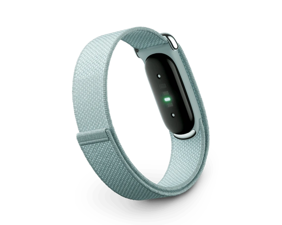 Фитнес-браслет Google Fitbit Air Fog Performance Loop Band Fog One Size