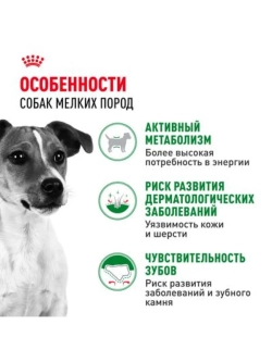 MINI Adult Корм для собак мелких пород 4кг