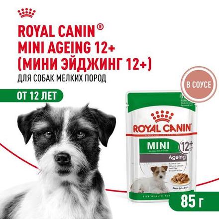 Royal Canin Mini Ageing 12+ Мини Эйджинг Корм влажный для стареющих собак мелких пород соус 85г