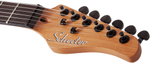 schecter_pt_standard_bfbb_11_-1984941016.jpg