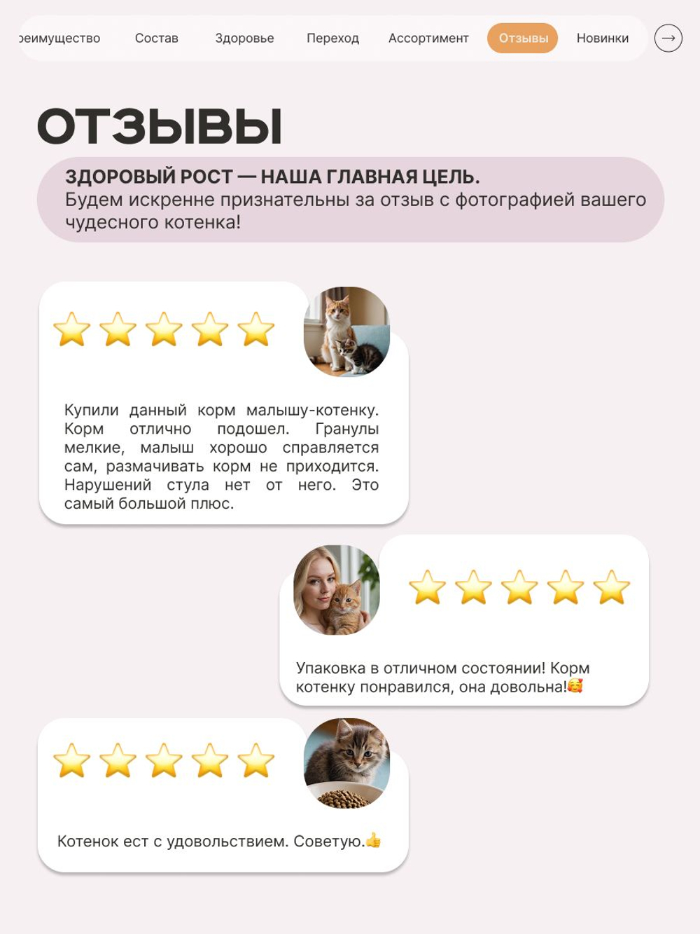 Корм сухой для котят породы Бенгальская, с индейкой, 2кг, QUATTRO
