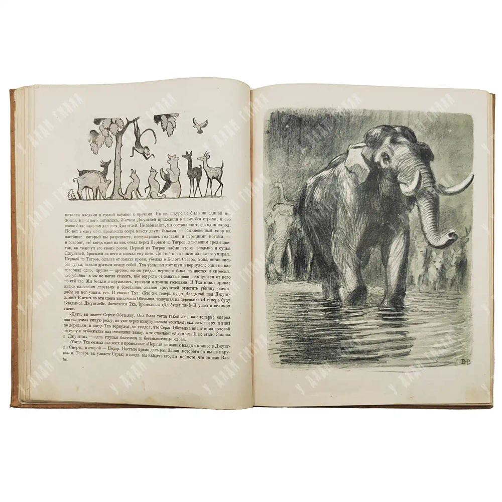 Киплинг Р. Маугли. Из книги джунглей / Рис. В. Ватагина. — М., 1934