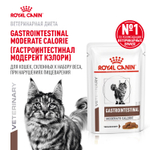 Royal Canin Gastrointestinal Moderate Calorie Гастроинтестинал Модерейт Кэлори Корм влажный диета для кошек склонных к набору веса соус 85г