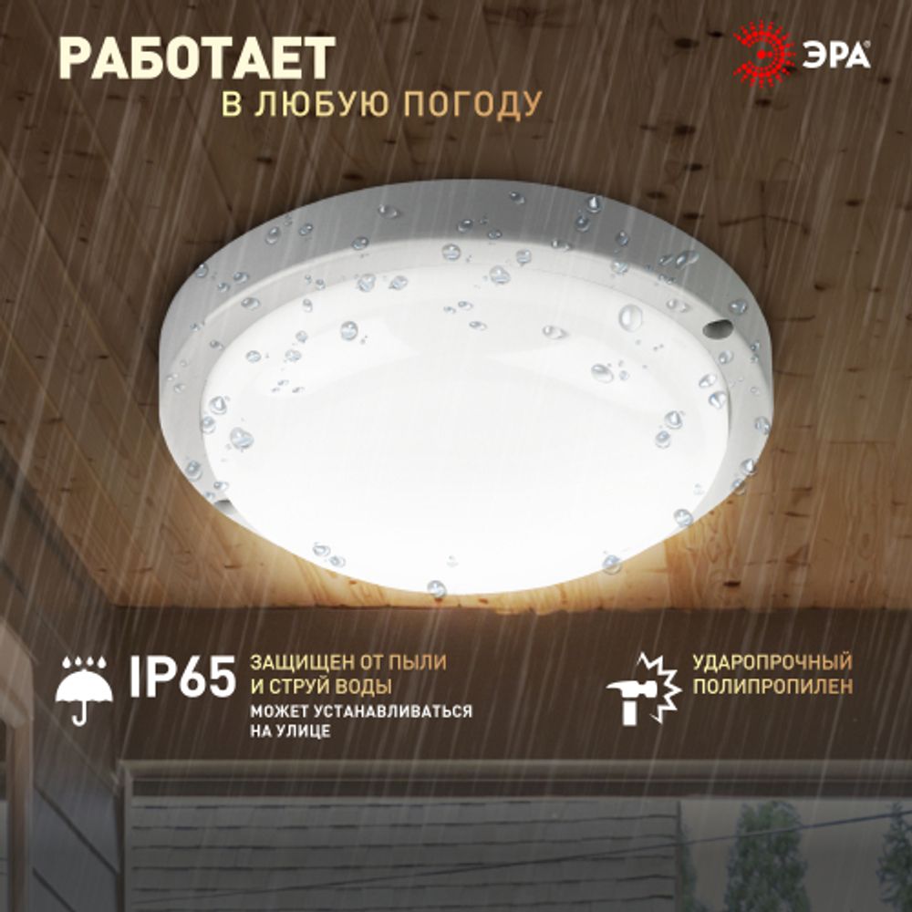 Светильник ЖКХ светодиодный ЭРА SPB-201-0-40K-012 IP65 12Вт 4000К D155 круглый | Светильники для ЖКХ IP65