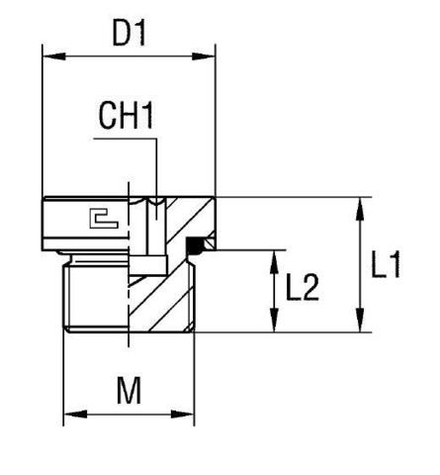Заглушка V (Ш) 18х1.5 (o-ring)