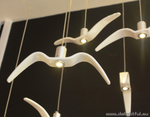 Night-Birds-Brokis