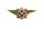 Значок классности ФСИН Мастер