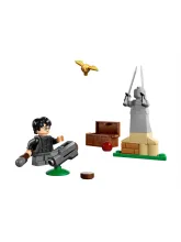 Конструктор Harry Potter 30706 Урок квиддича
