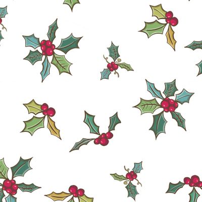 Hand drawn with red berries and fir branches. Christmas cards and winter design. Vector illustration
