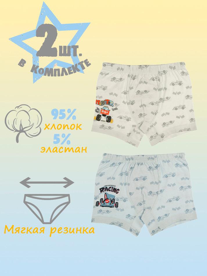 Боксеры для мальчика (2 штуки в упаковке)