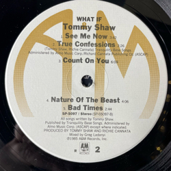 Винтажная виниловая пластинка LP Tommy Shaw What If (США 1985)