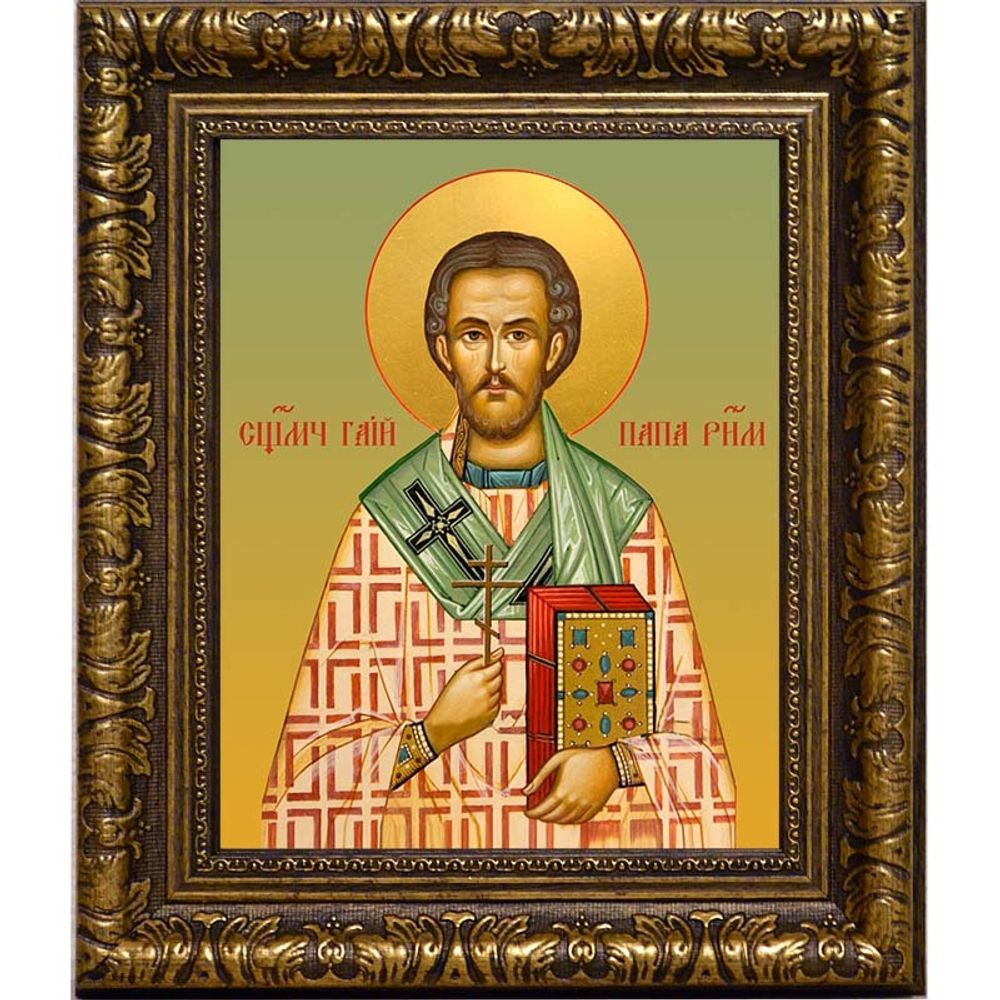 Гаий Римский папа Римский священномученик. Икона на холсте.