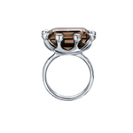 MINERAL_smoky quartz_2_однотон