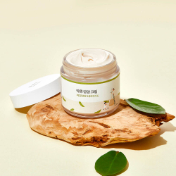 Round Lab Soybean Nourishing Cream
