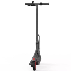 Электросамокат Ninebot by Segway KickScooter C20 (черный)