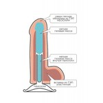 Фаллоимитатор неоскин Lovetoy F&F Best Cock 6 (15×4,5 см) на присоске