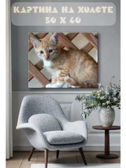 Картина на стену 40 X 50 Котенок