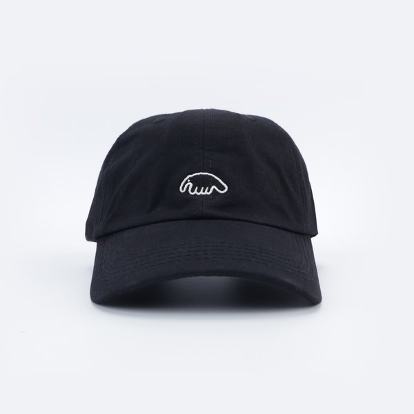 Кепка Anteater 6Panel (black) артикул: - купить в магазине Дайс
